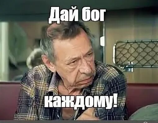 В Турции кот 45 минут отбивался от четырёх грабителей и не пустил их в квартиру