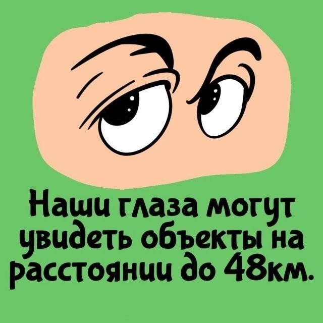 Интересные и короткие факты,на все случаи жизни 23.10.26