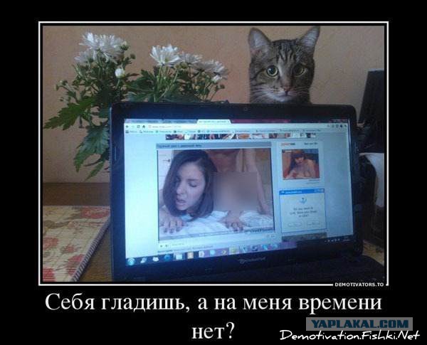 Не про олимпиаду