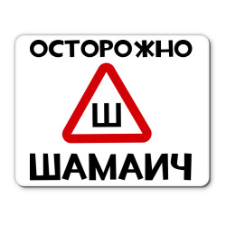 "Саня" сел за руль