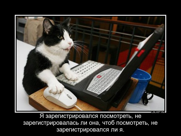 Демотиваторы.