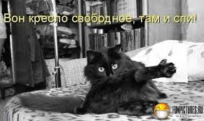 Добряки, плюсующие всех подряд