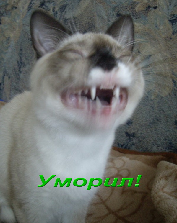 Про смену пола