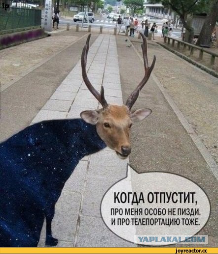 Презентована эмблема ЧМ-2018 по футболу