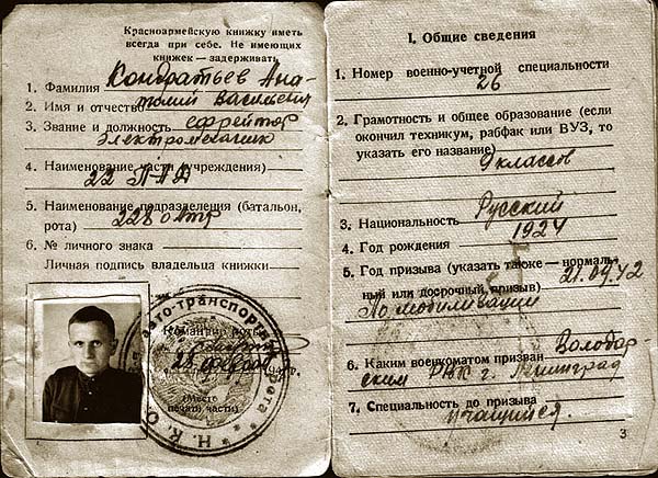 Диванные войска, пивная дивизия
