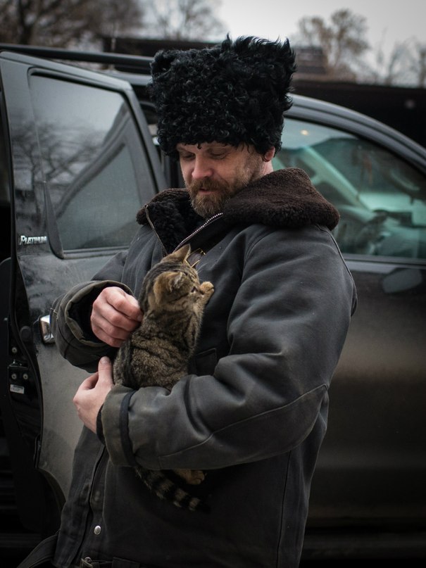 Кошки и собаки на войне в Донбассе