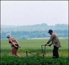 Дачники-огордники, нужны Ваши советы