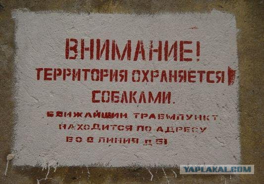 Когда корявые надписи на стенах смотрят в душу