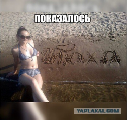 Подборка картинок