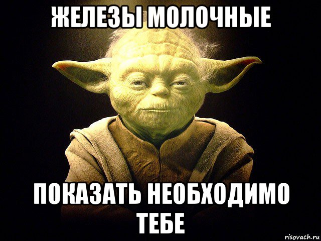 Доброе утро всем ЯПовчанам и Яповчанкам..