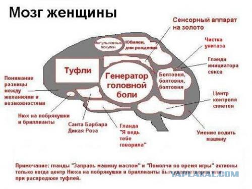 Коротко о бабах