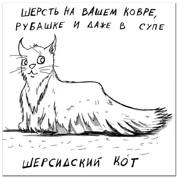 Породы котяр