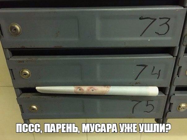 Картинки  из сети
