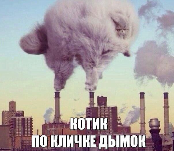 Разные картинки из сети