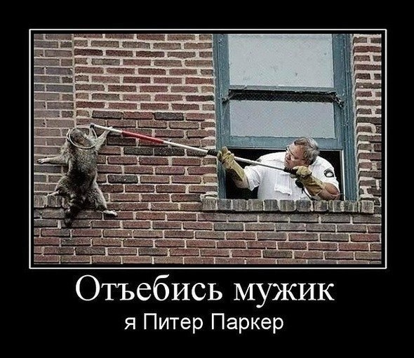 Картинки и демотиваторы