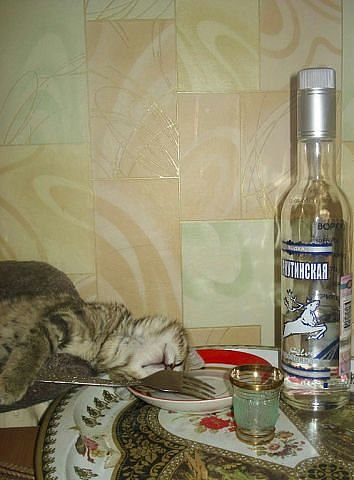 Позитив на воскресенье