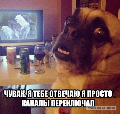 Веселые картинки