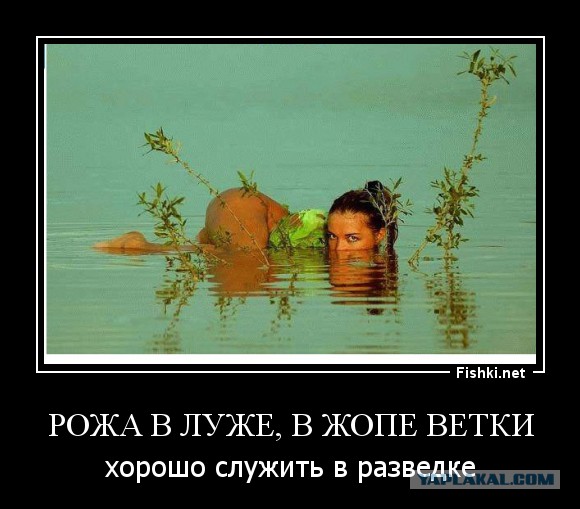 Юкка: уход и размножение