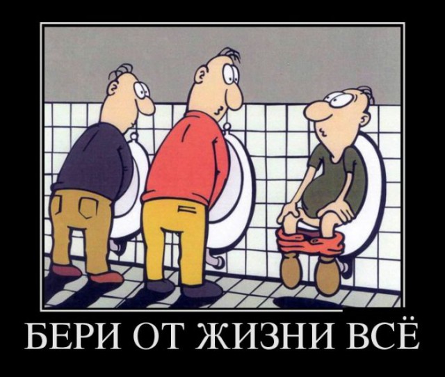Порция картинок из сети
