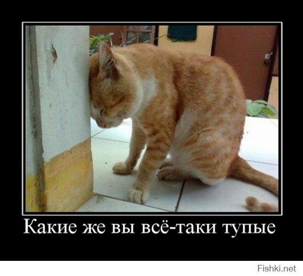 Секреты, о которых не расскажут пилоты