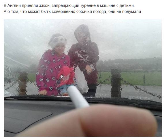 Всячина. Картинки
