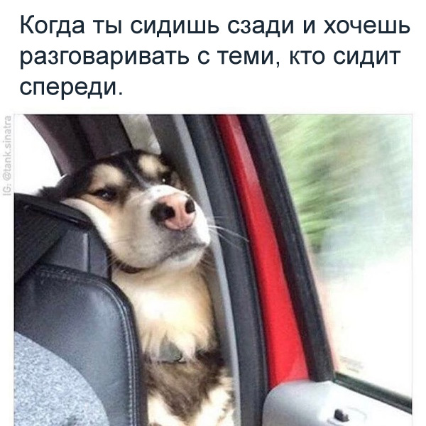 Смешные комментарии 16.04.2017