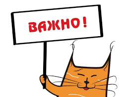 Уже тошнит от биткоина