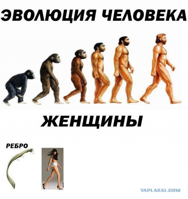 Забавные комментарии, шутки и фразы из этих ваших интернетов