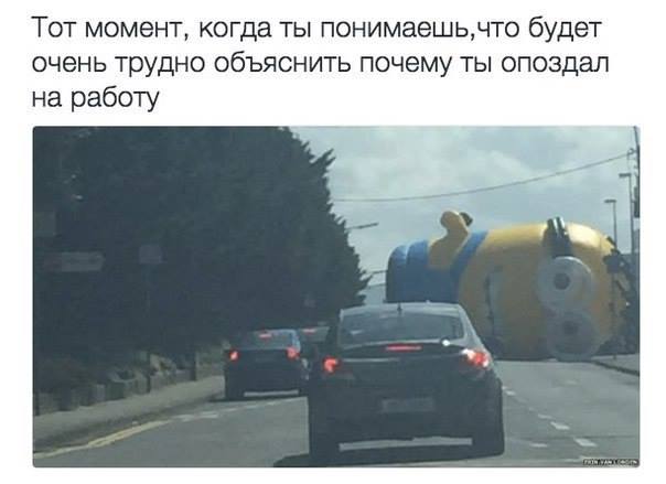 Подборка интересных и веселых картинок