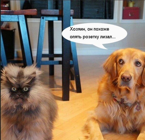Просто юмор #24