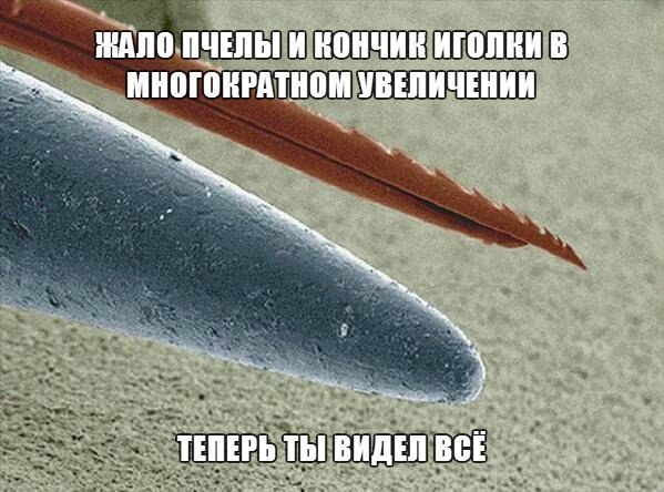 Снимки категории "Теперь ты видел всё" от 15.03.2018