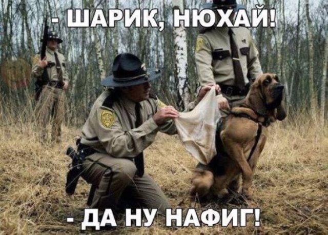 Подборка интересных и веселых картинок