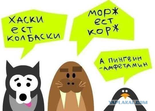 Как пуля резкий