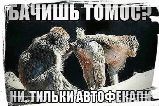 Константинопольский патриарх Варфоломей подписал томос об автокефалии Православной церкви Украины