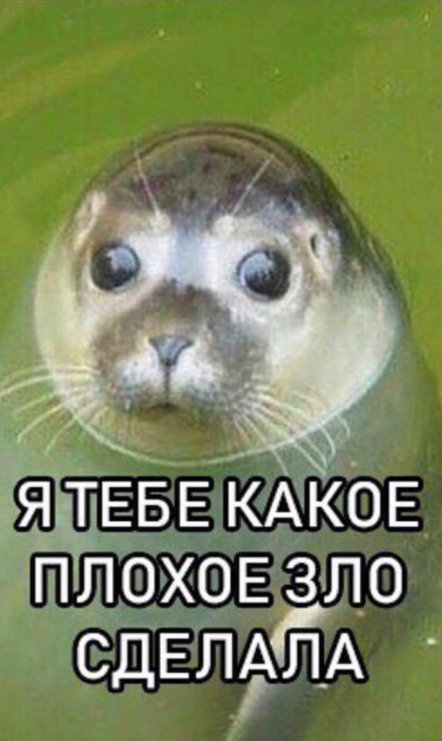 Жена записала для мужа интимное видео, но случайно показала его куда большему количеству людей