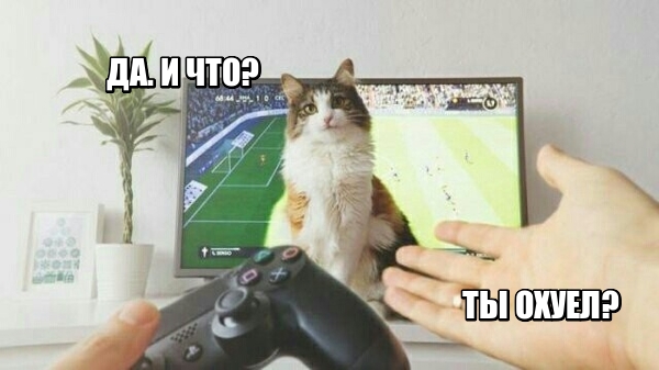 Немного картинок для настроения!