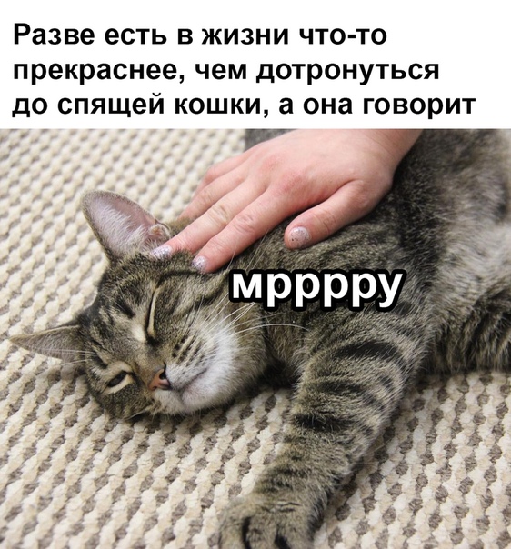 Немного картинок для настроения 19.10.19
