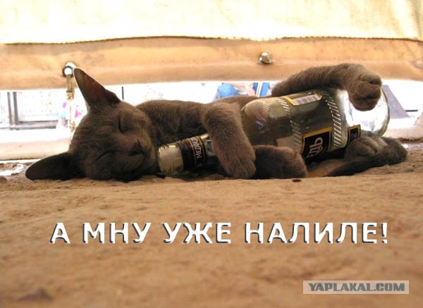 Первая ПЯТНИЦА июля! 04.07.08 - 13 фот