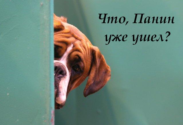 Подозрительный тип
