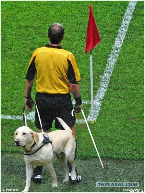 Новая реклама Specsavers