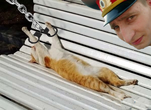 Я знал прикуп! Я в Сочи!