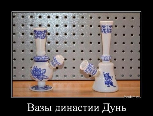 Прикольные и просто красивые картинки 11.09.2020