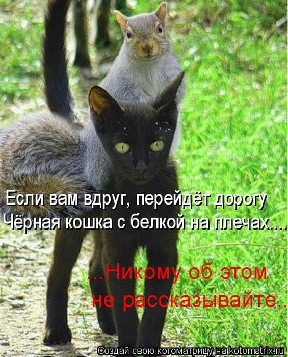 Картинки разные 08.10.2020