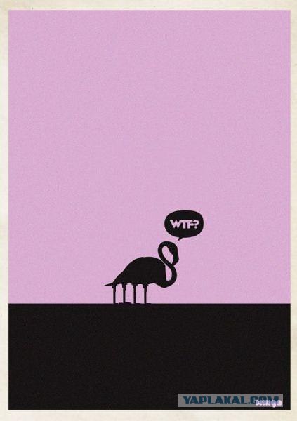 Фотожаба: WTF?