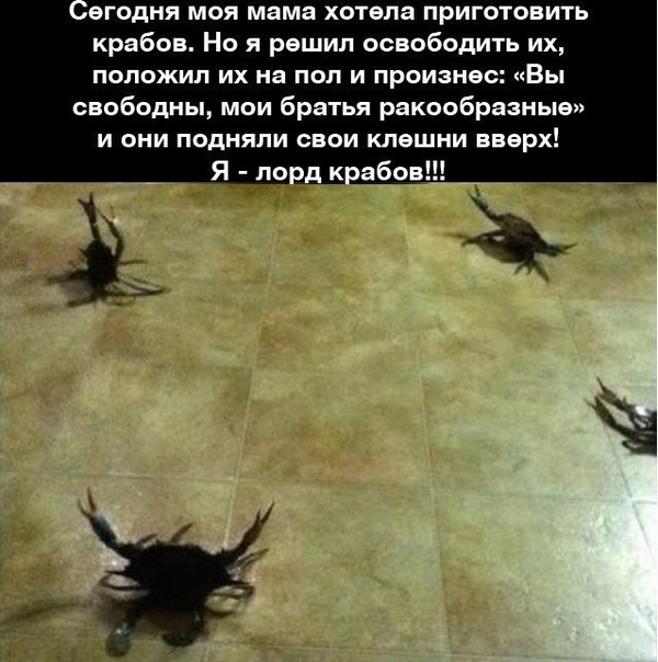 С миру по нитке 28.11