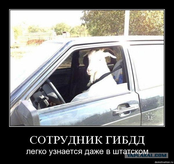 Нападение сотрудников ДПС