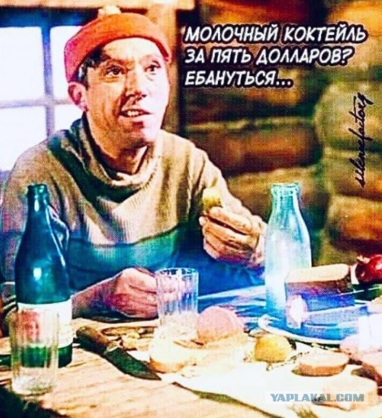 Весёлый полтишок 5.08.21