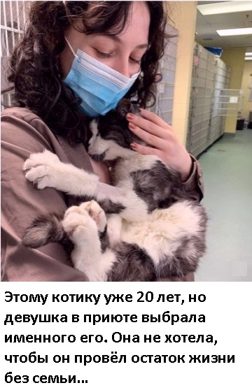 Картинки и мемы для настроения 12.08.2021