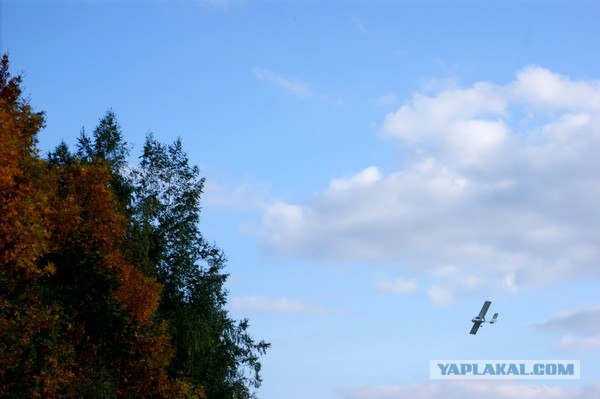 Осень в банках