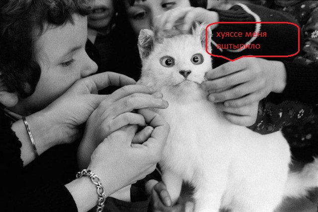 17 исторических фото, которые помогут отправиться в прошлое и узнать что-то новое